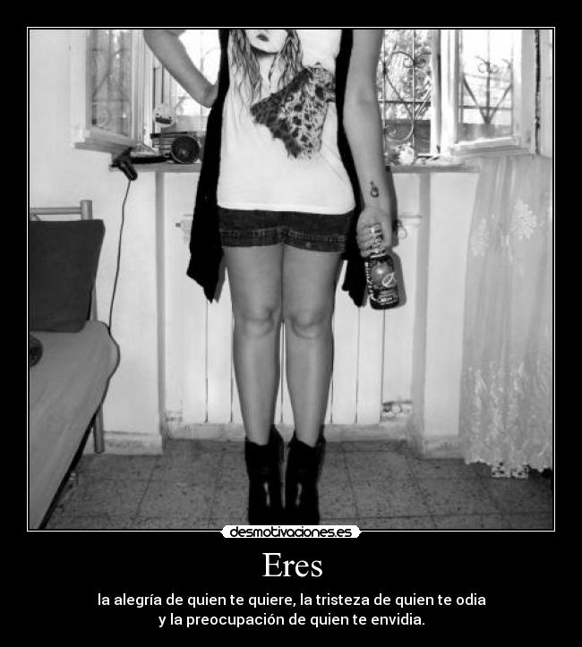 Eres - la alegría de quien te quiere, la tristeza de quien te odia
y la preocupación de quien te envidia.