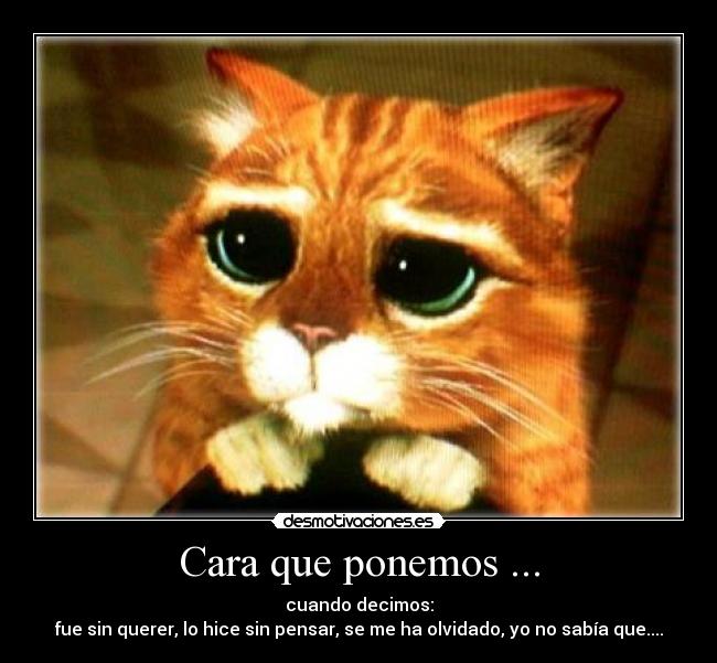 Cara que ponemos ... - 