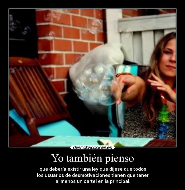 Yo también pienso - que debería existir una ley que dijese que todos
los usuarios de desmotivaciones tienen que tener
al menos un cartel en la principal.