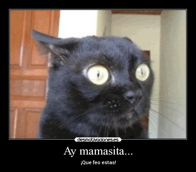 Ay mamasita... -