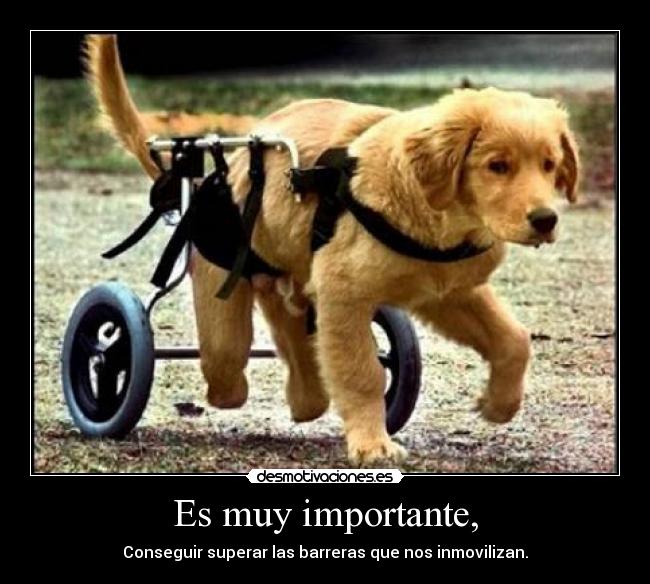 Es muy importante, -