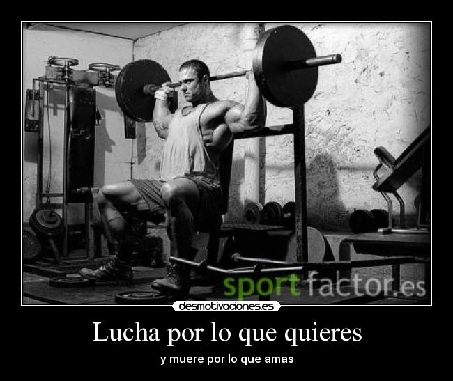 Lucha por lo que quieres - 
