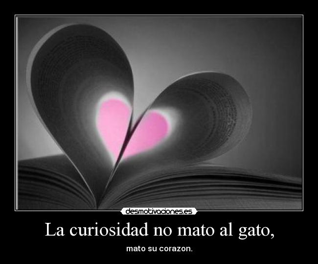 La curiosidad no mato al gato, - mato su corazon.