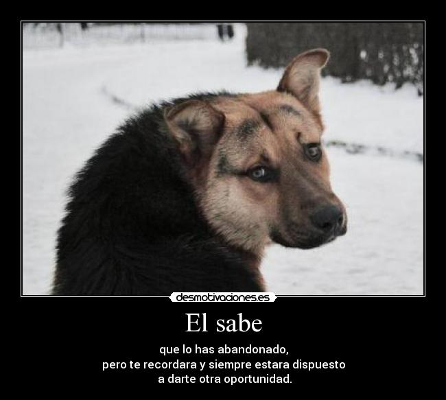 El sabe - 