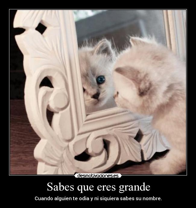 Sabes que eres grande - 