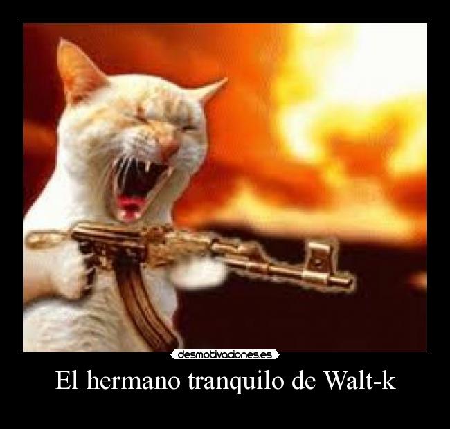 El hermano tranquilo de Walt-k - 