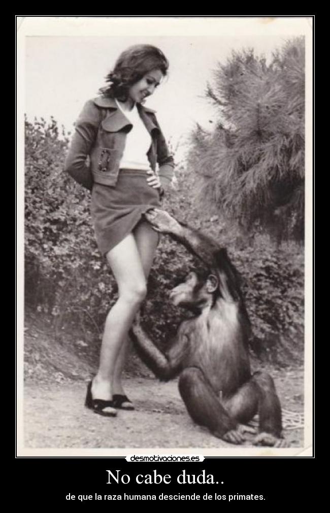 No cabe duda.. - de que la raza humana desciende de los primates.