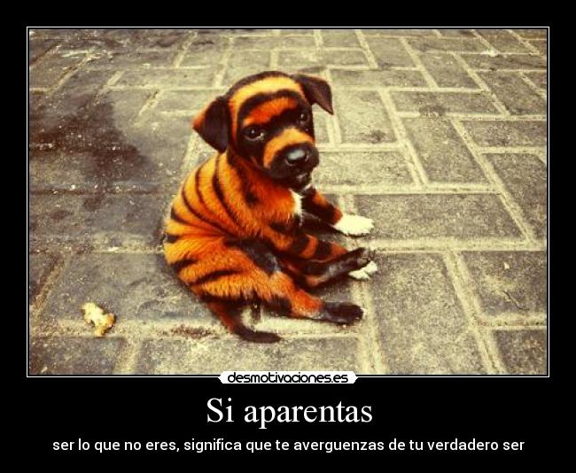 Si aparentas - 