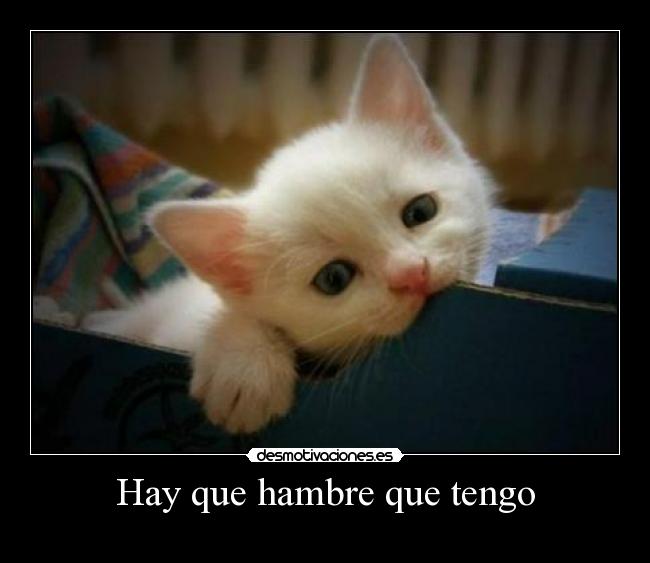 Hay que hambre que tengo -