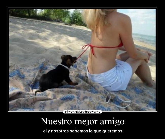 Nuestro mejor amigo -