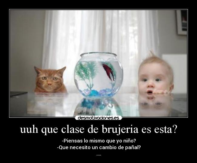 uuh que clase de brujeria es esta? -