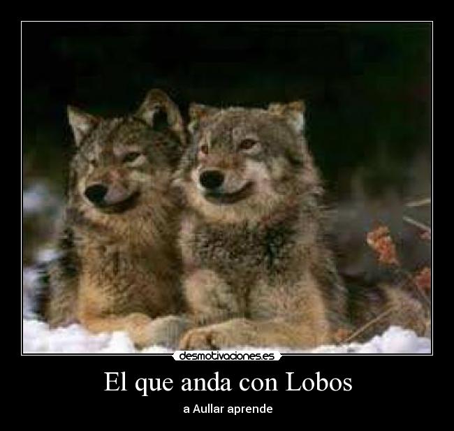 El que anda con Lobos - a Aullar aprende