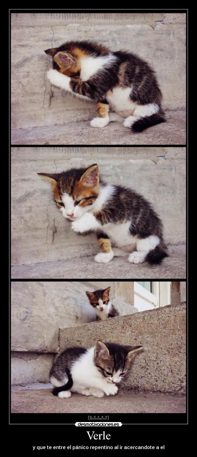 Verle - y que te entre el pánico repentino al ir acercandote a el