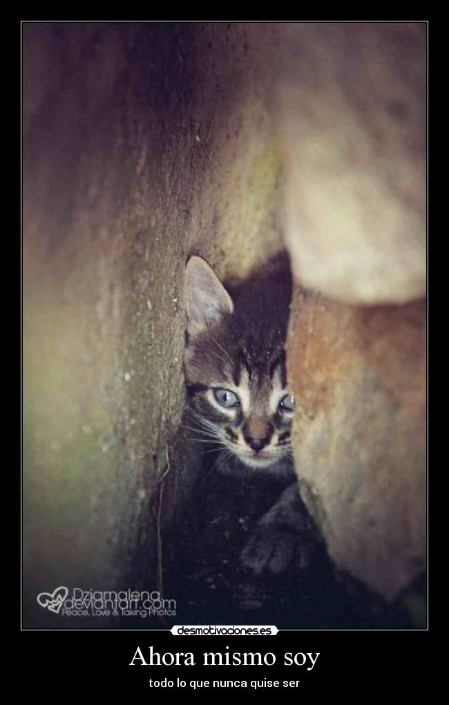 Ahora mismo soy - todo lo que nunca quise ser