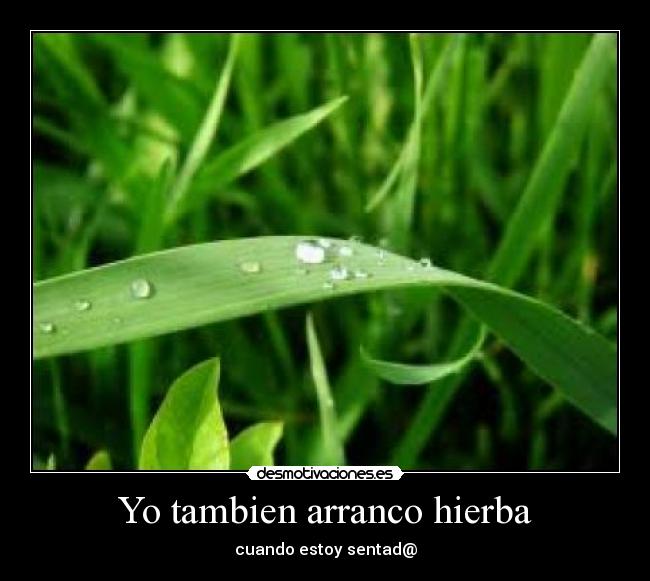 Yo tambien arranco hierba -