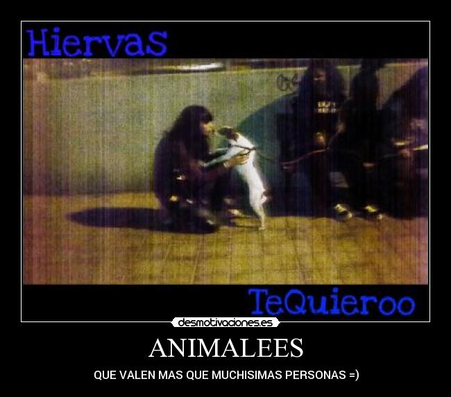 ANIMALEES - QUE VALEN MAS QUE MUCHISIMAS PERSONAS =)