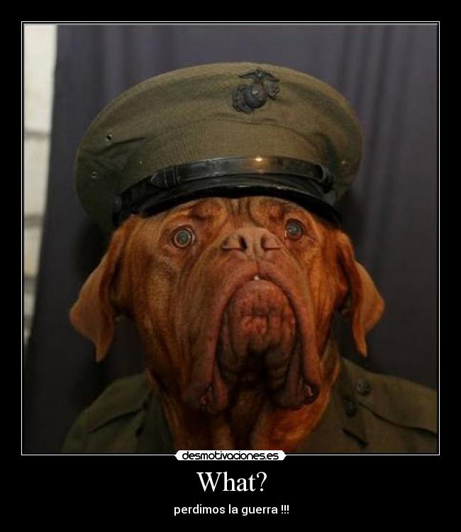 What? - perdimos la guerra !!!