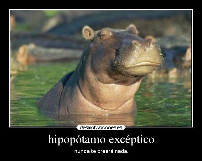 hipopótamo excéptico - nunca te creerá nada.
