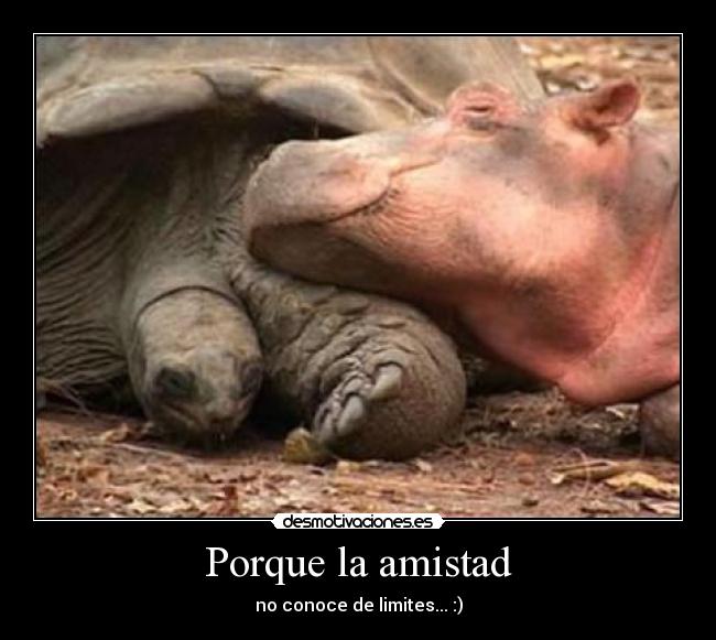Porque la amistad - no conoce de limites... :)