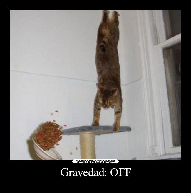 Gravedad: OFF - 