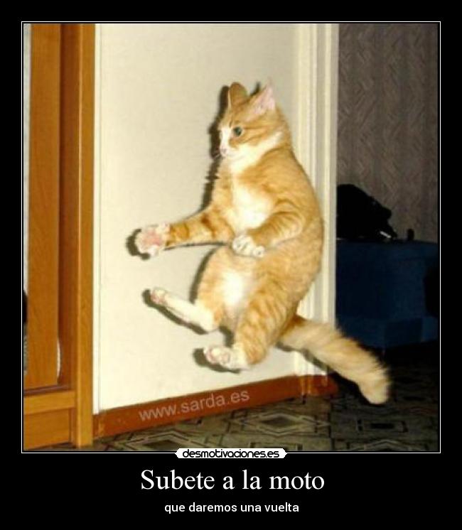 Subete a la moto - 