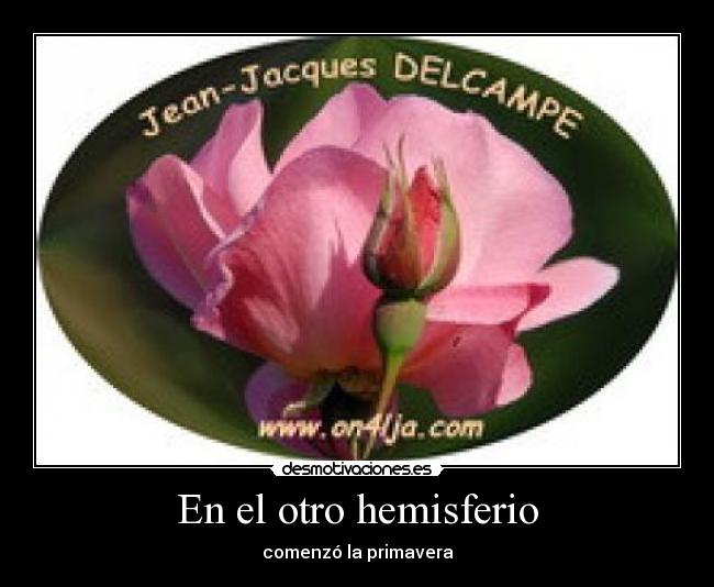 carteles afd desmotivaciones