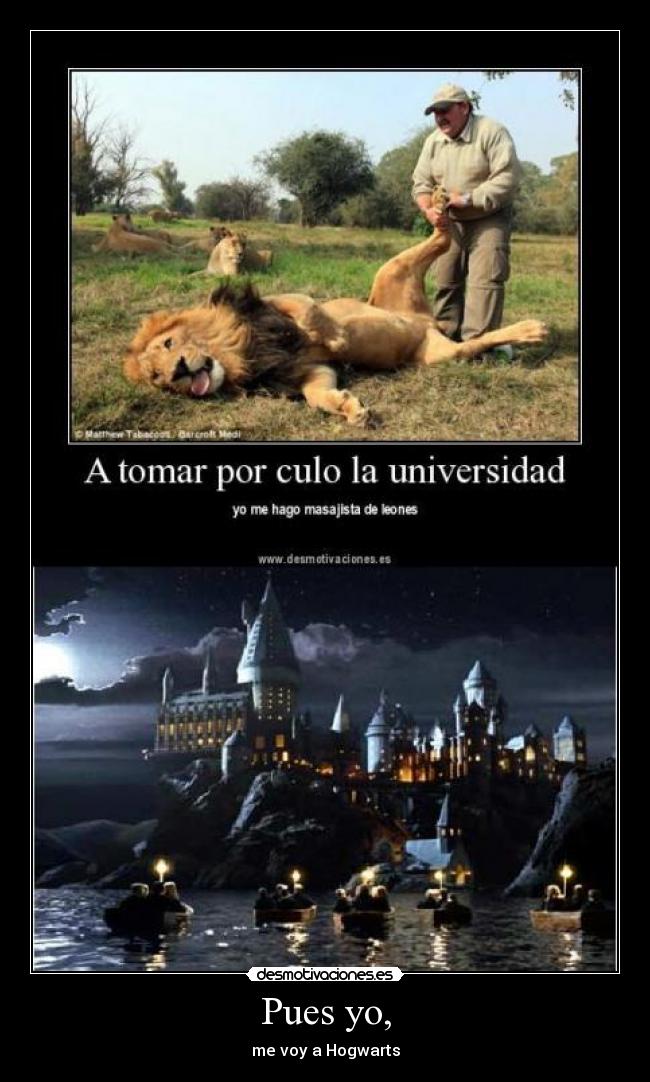 Pues yo, - me voy a Hogwarts