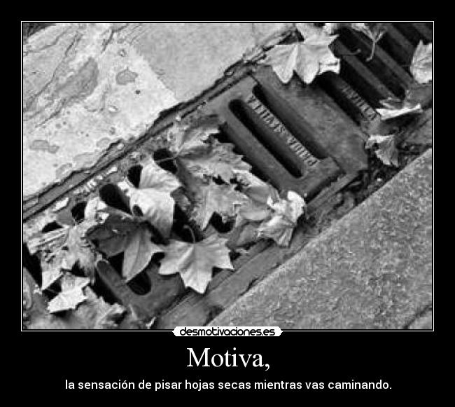 carteles david puk desmotivaciones