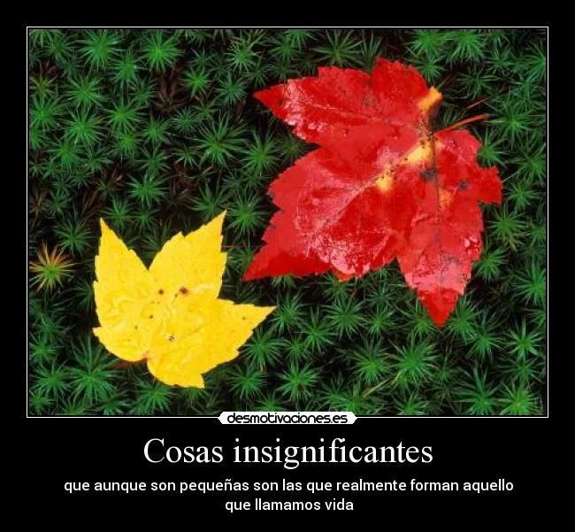 Cosas insignificantes - 