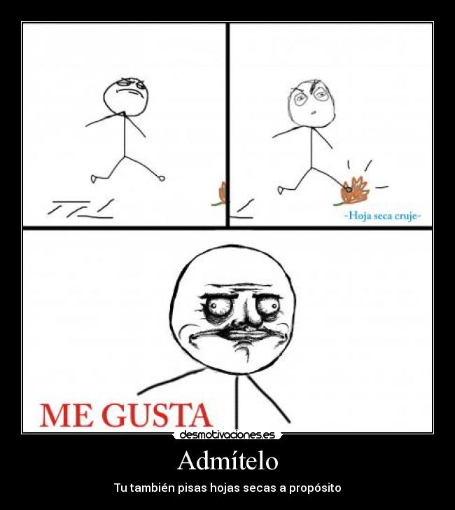 Admítelo - Tu también pisas hojas secas a propósito