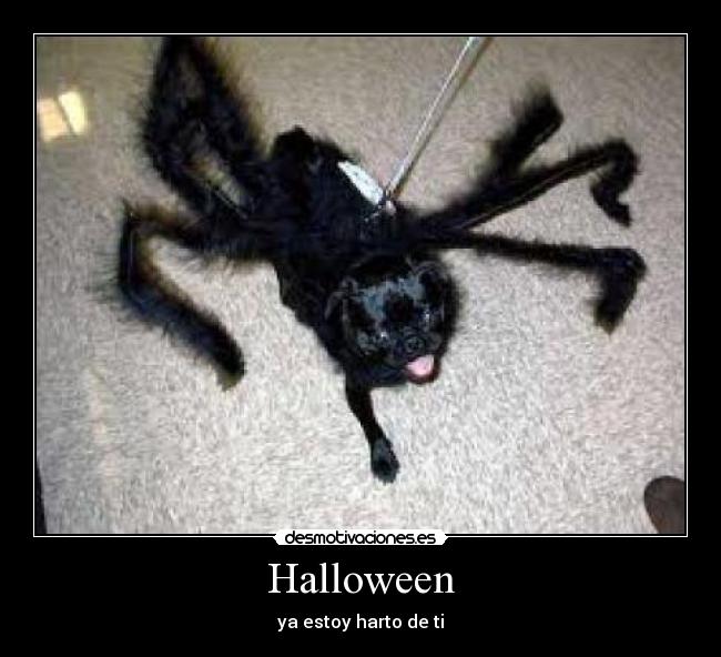Halloween - ya estoy harto de ti