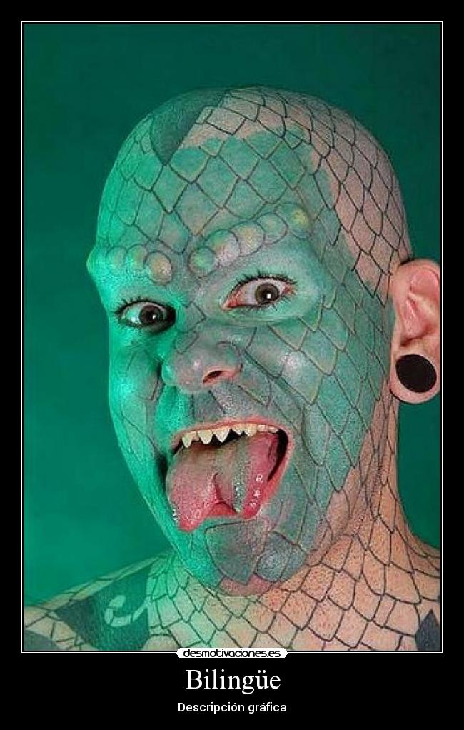 Bilingüe - Descripción gráfica