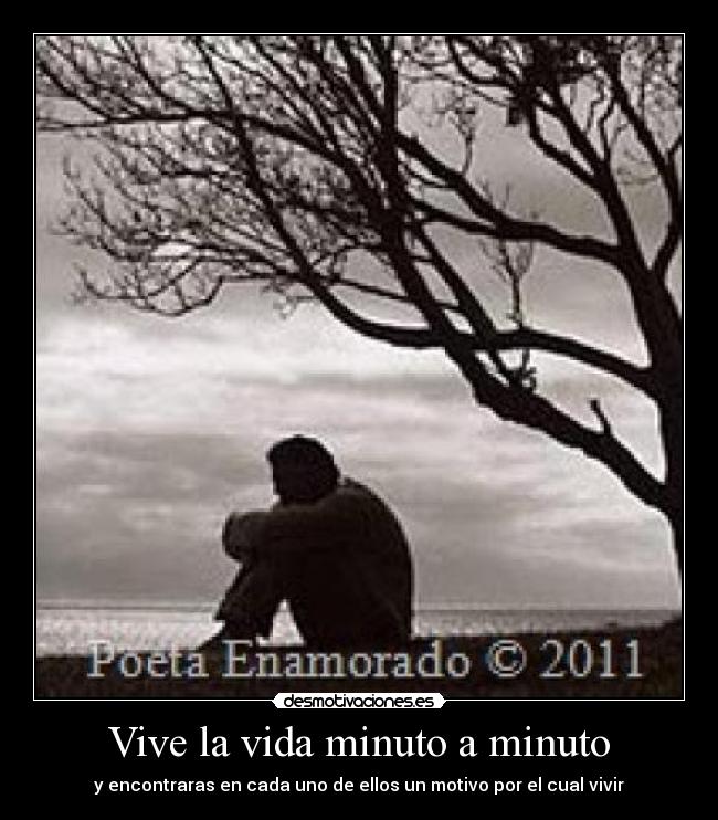 carteles vida desmotivaciones