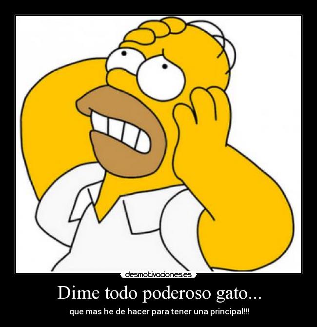 Dime todo poderoso gato... - que mas he de hacer para tener una principal!!!