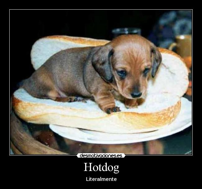 Hotdog - Literalmente