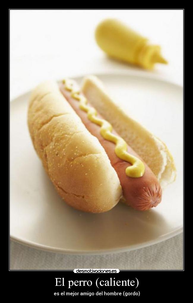 El perro (caliente) -