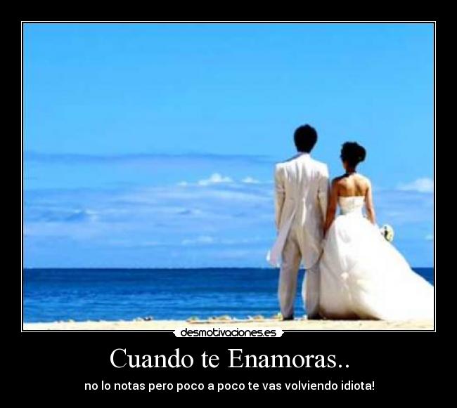 carteles enamoras desmotivaciones