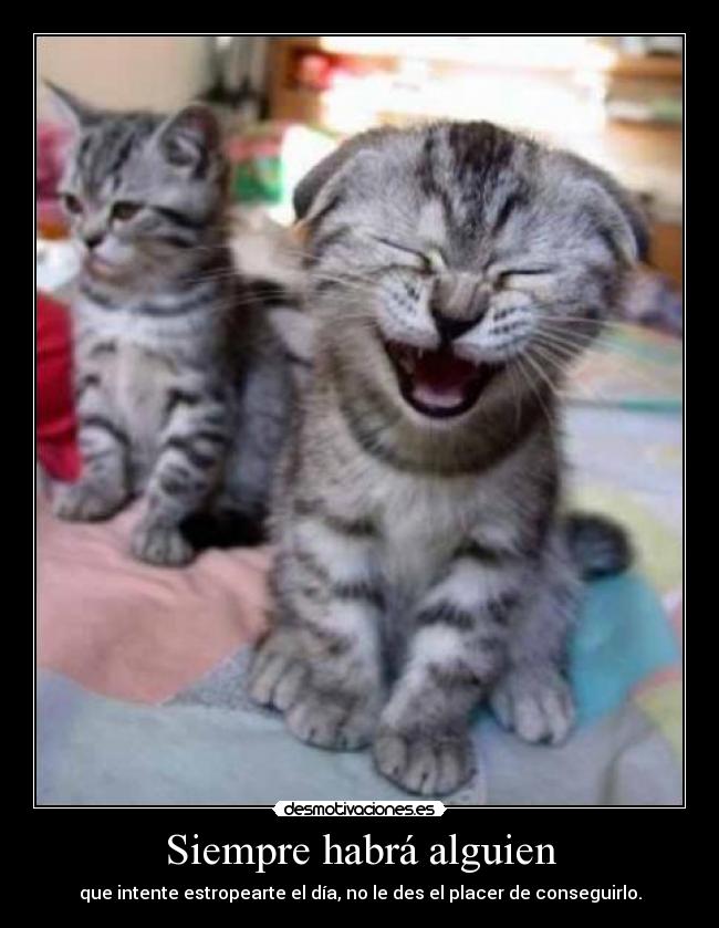 Siempre habrá alguien -