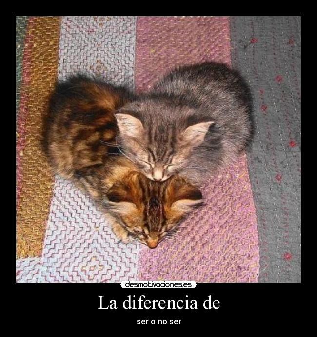 La diferencia de - ser o no ser