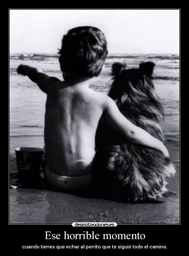 Ese horrible momento - cuando tienes que echar al perrito que te siguió todo el camino.