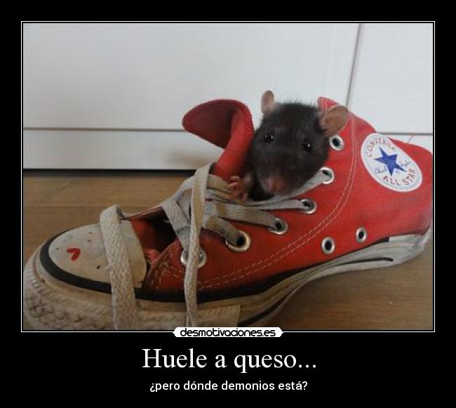 Huele a queso... -