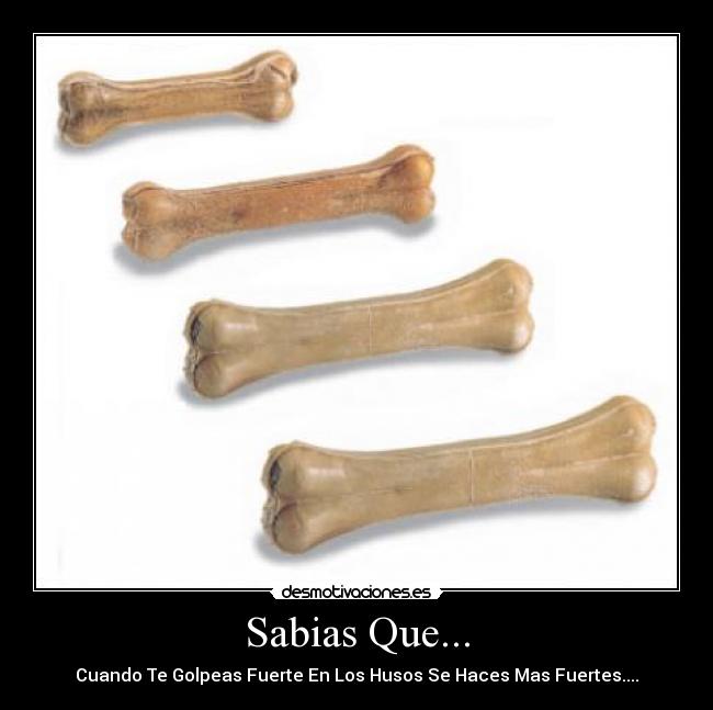 Sabias Que... - Cuando Te Golpeas Fuerte En Los Husos Se Haces Mas Fuertes....