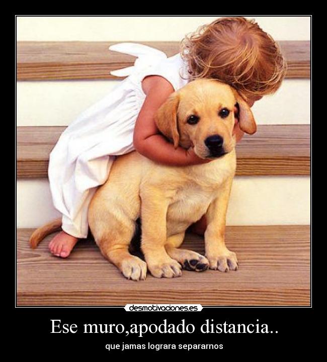 carteles distancia ese muroapodado distancia desmotivaciones