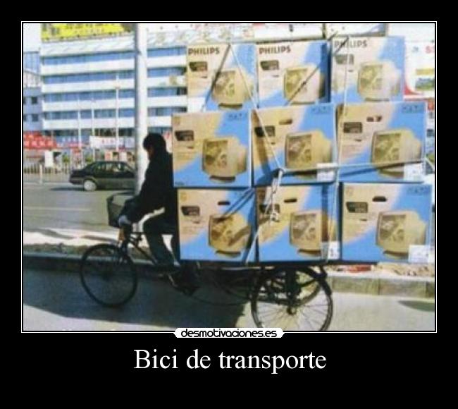 Bici de transporte - 