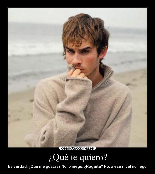 ¿Qué te quiero? - Es verdad. ¿Qué me gustas? No lo niego. ¿Rogarte? No, a ese nivel no llego.