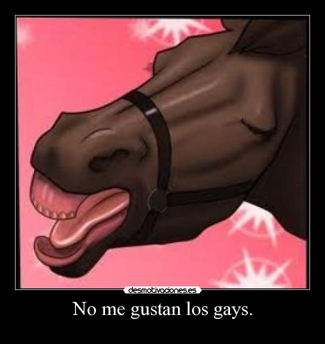 No me gustan los gays. - 