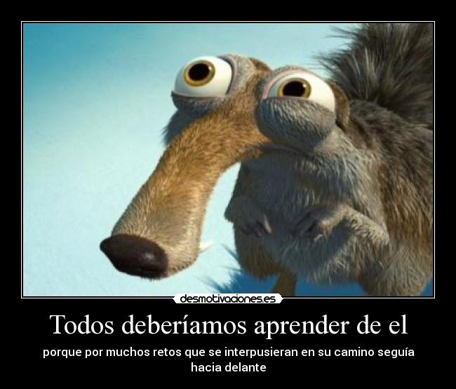 carteles verdades desmotivaciones