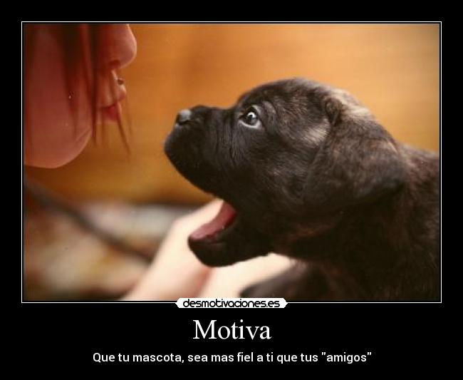 Motiva -