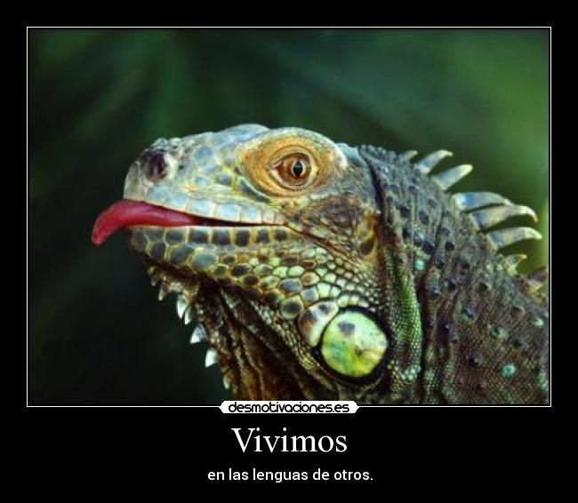 Vivimos - 