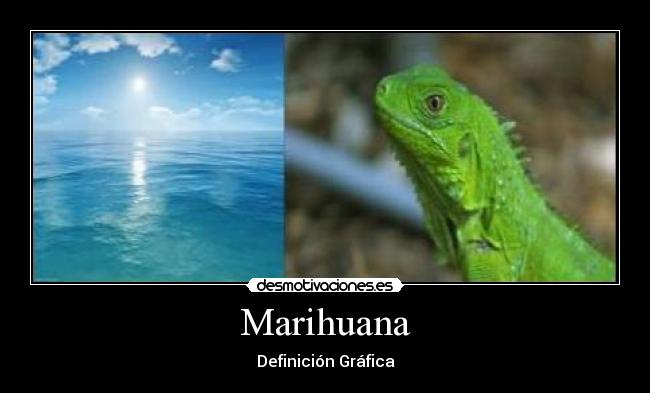 Marihuana - Definición Gráfica